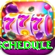 t20 schedule Deluxe Edition v1.5.2