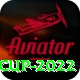 t20 world cup 2022 Deluxe Edition v1.4.4