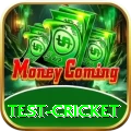 test cricket Master v1.6.2