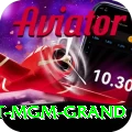 the signature at mgm grand Plus Edition v3.0.3