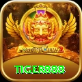 tiger888 Games (Casino & Earning) VIP vv5.7.8