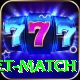 to day cricket match Elite v3.0.1