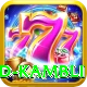 vinod kambli Pro1 v3.5.9