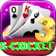 west indies cricket Ultimate Pro v4.9.3