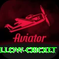 willow cricket Plus Pro v1.8.4