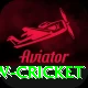 willow cricket Plus Pro v1.8.4