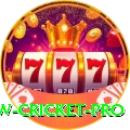 willow cricket Jackpot Pro v4.5.9