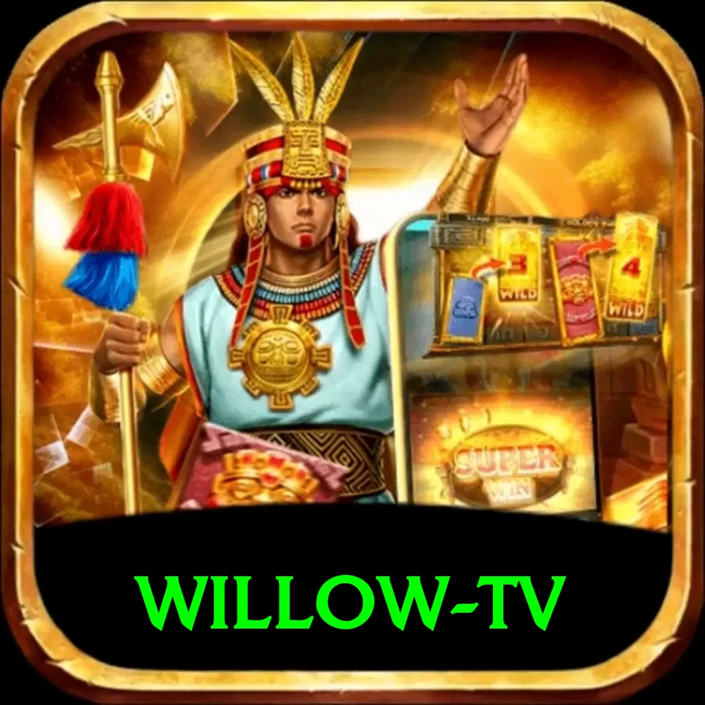 willow tv Pro Max v2.2.5 - 2