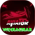 winbaobab Premium vv5.2.1